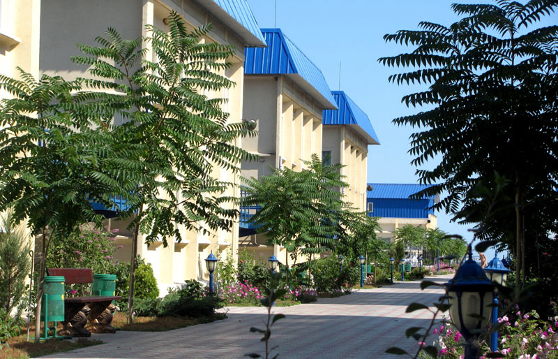 ���� ������ �������� (����������)