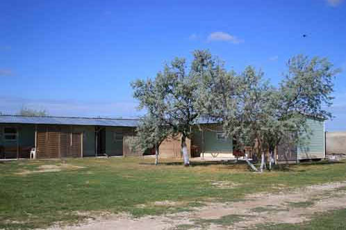 ����������� ���� ������ ����� � ���. ���������� (��������)