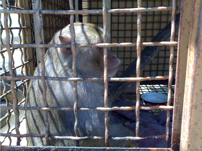 ��������� �� �/� ����� � ���. ���������� (��������)