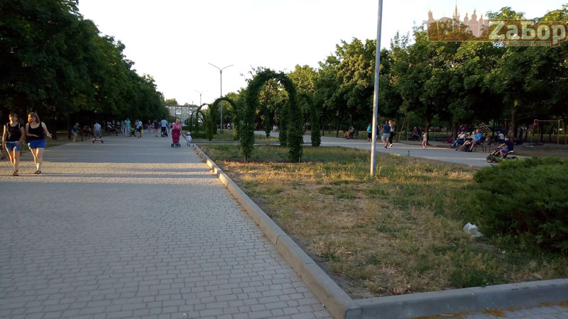 ���� ����� �������� (���������)