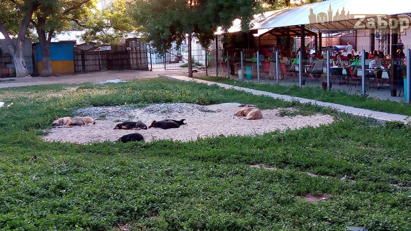 �������� ������ � ����� ��. �������� (���������)