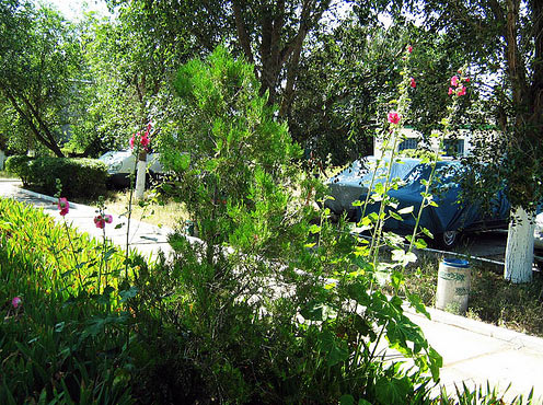 ��������� - ���� ������ � ���. ���������� (��������)