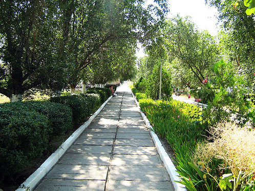 ��������� - ���� ������ � ���. ���������� (��������)