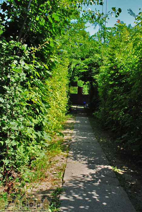 ������� �� ���������� ��������� ������ (���������)