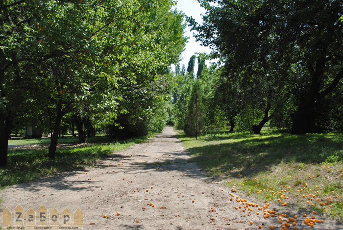 ������� ����� ��������� (�������� ������, ������� ���, ���������)