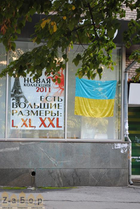 ���� �������. ������� �L, XXL