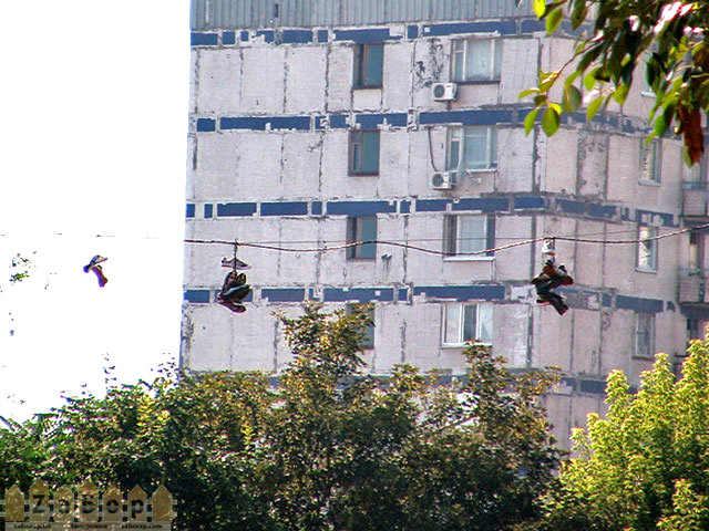 ����������:) ��� �������� - ���� �����:)