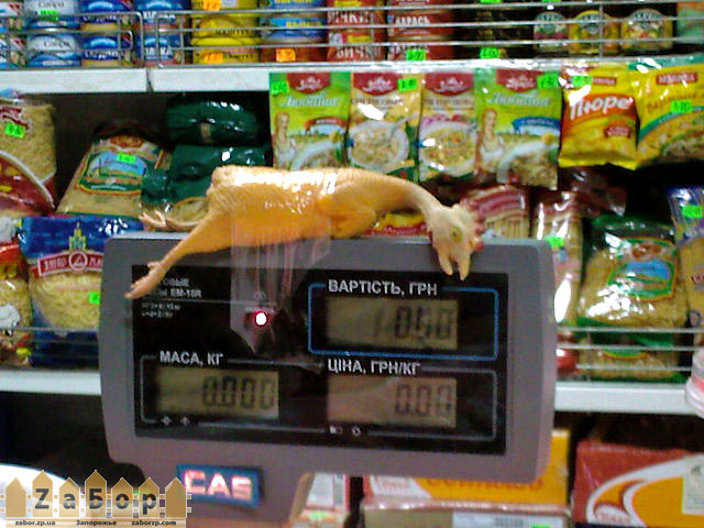 ������� ����� ����?