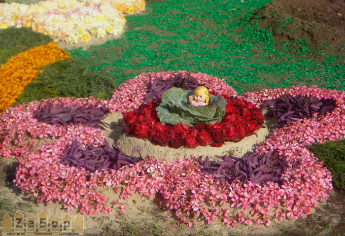 ������� � ������� - ��������� ��������� (���������, ���� ������)