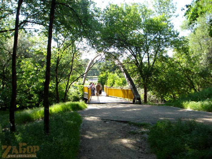 ���� ������ (���������)