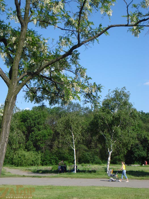 ���� ������ (���������)