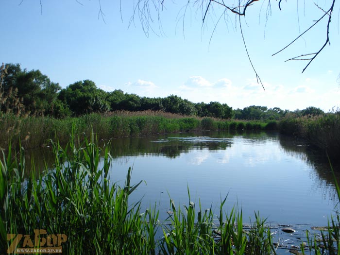 ���� ������ (���������)