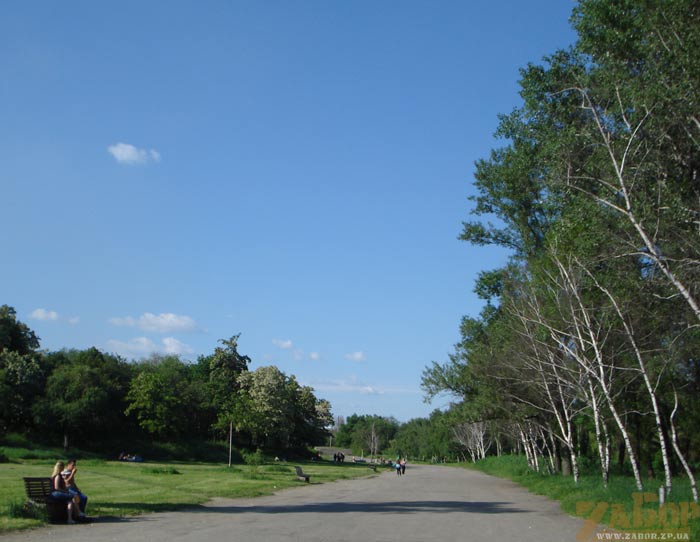 ���� ������ (���������)