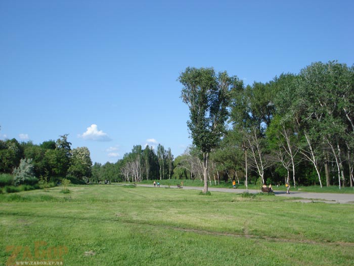 ���� ������ (���������)