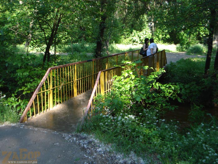 ���� ������ (���������)