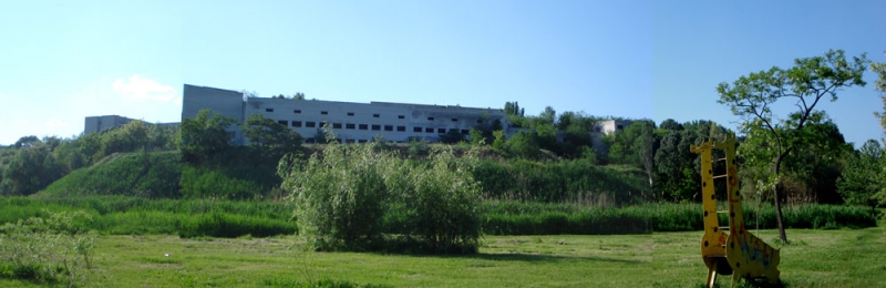 ���� ������ (���������)