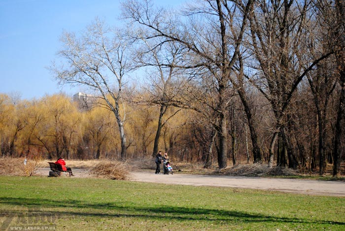 ���� ������ � ���������