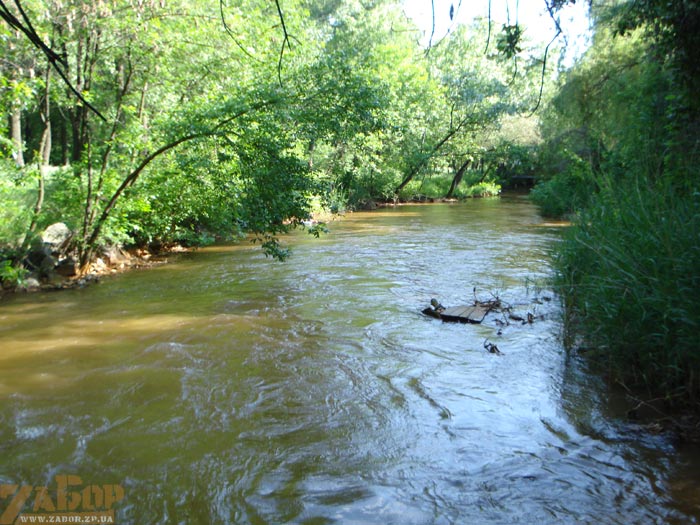 ���� ����� �������� (������� ����)