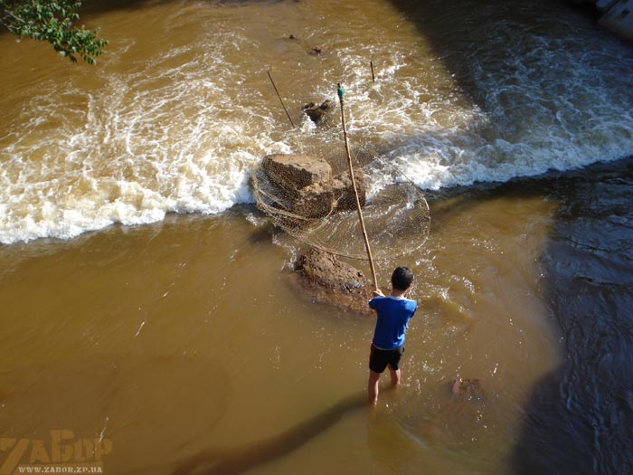 � ������� ���� (���������) ����� ����