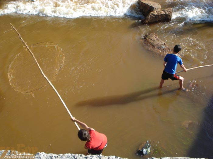 ���� ����� �������� (������� ����)