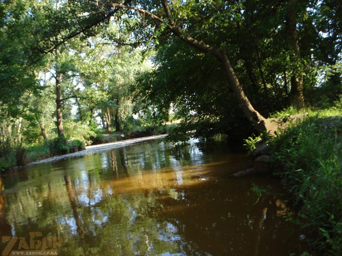 ���� ����� �������� (������� ����)