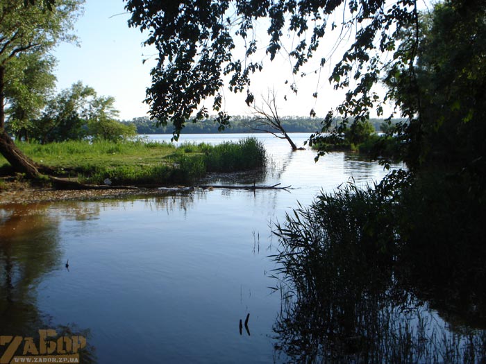 ���� ����� �������� (������� ����)