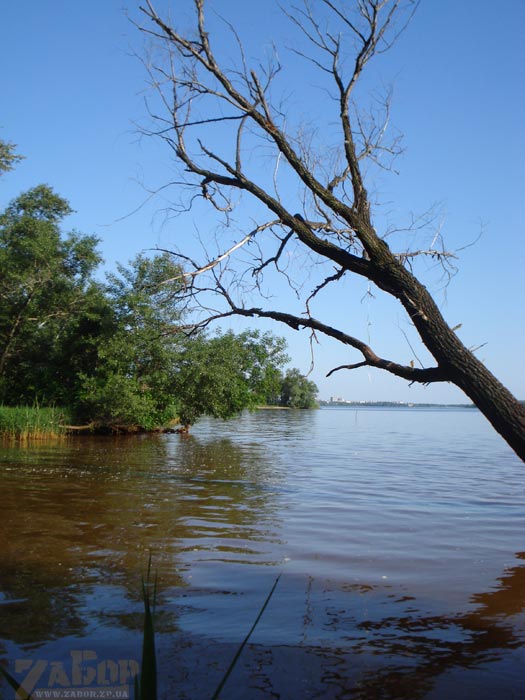 ���� ����� �������� (������� ����)