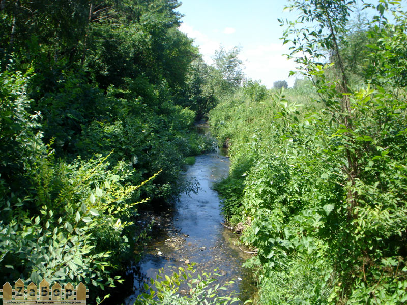 ����� �������� � ������ ������������� ���� (���������)