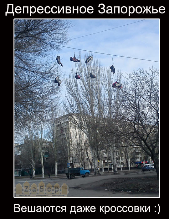 ������������ ���������