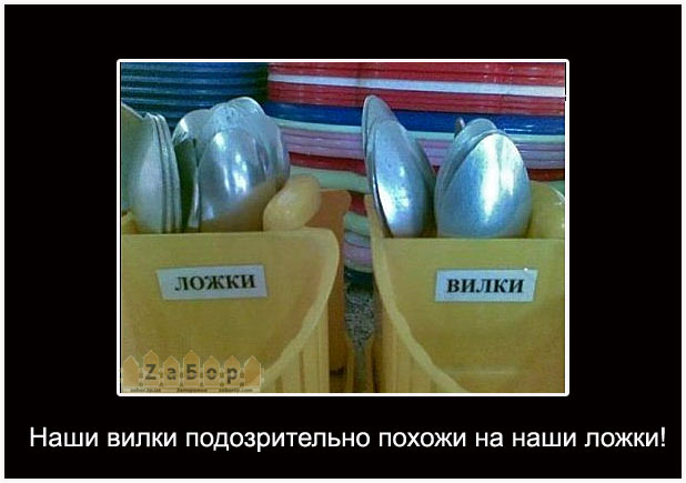 ���� ����� ������ �������� �� ����� �����!