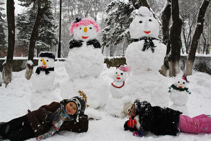 ����������