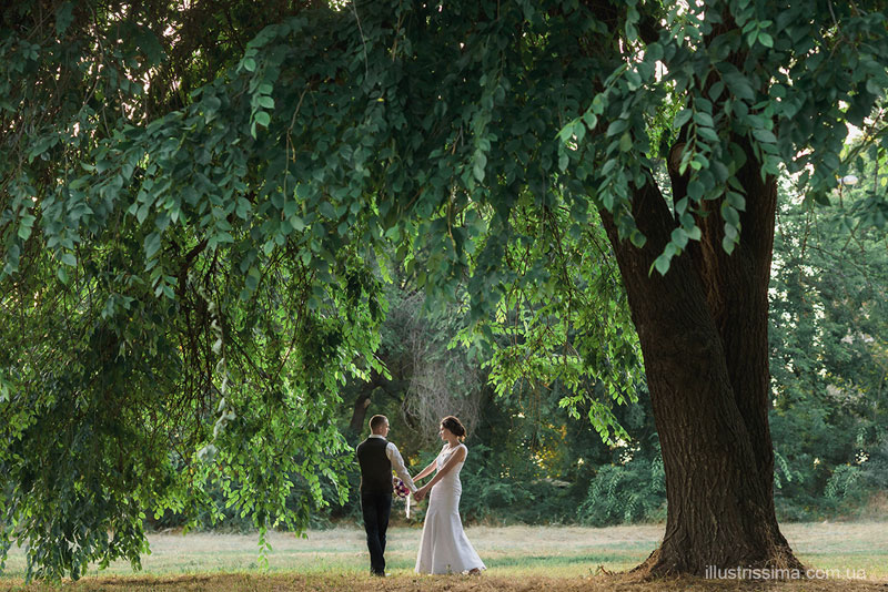 �������� ������� ������������ (���������)