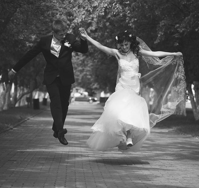 ������ ���������