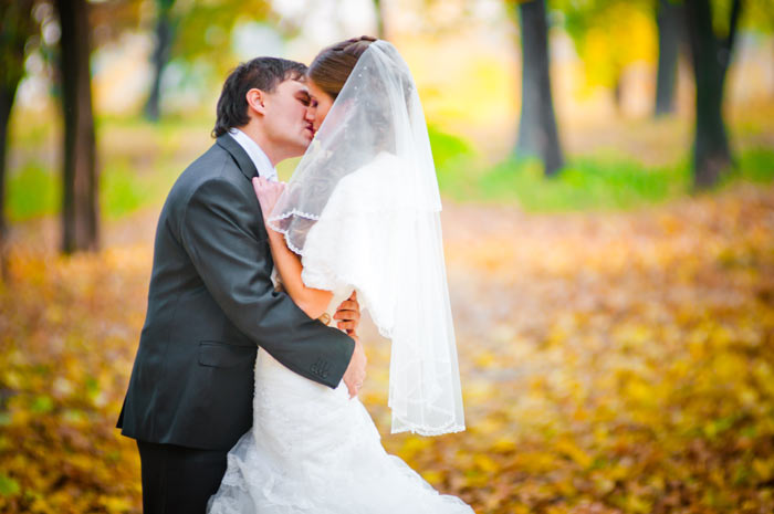 ����� ��������