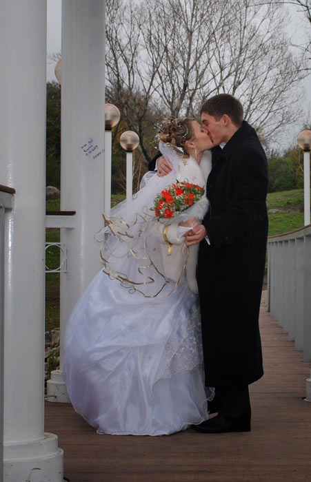 ���� ������