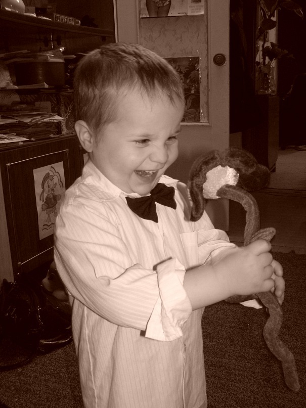 �������� � �������