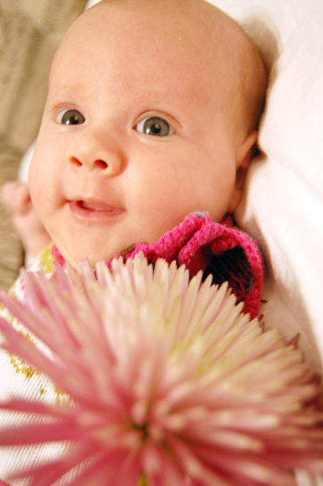 ���� ���������