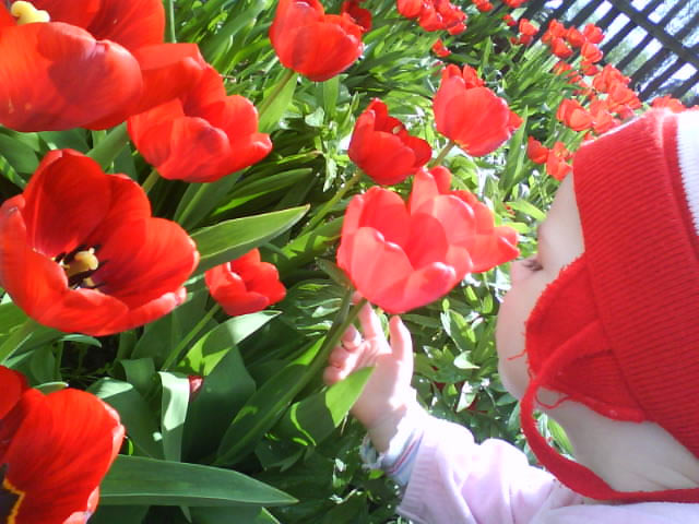 ��������� ������