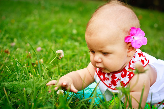 ���� ������ ������