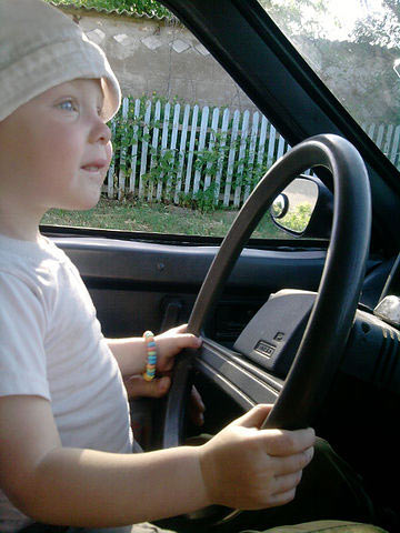 �������� ����