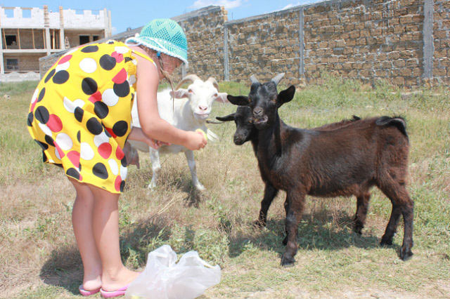 ���� � �������. � � ����!