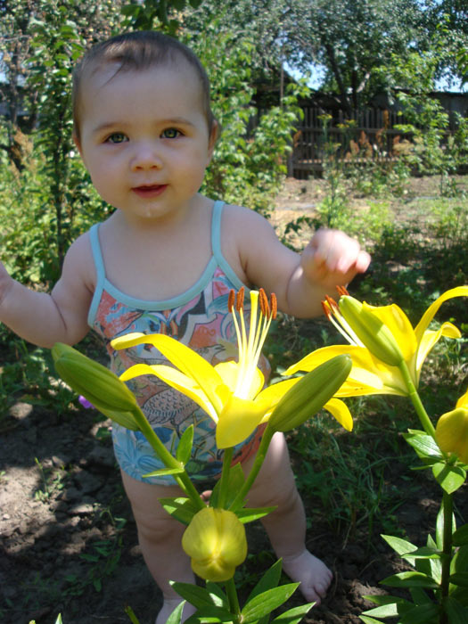 � ������