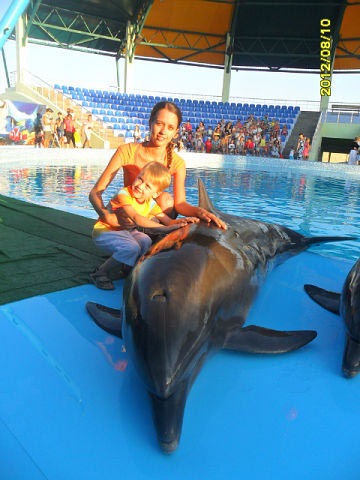 �� ������ �����������-���������� � ��������� ������