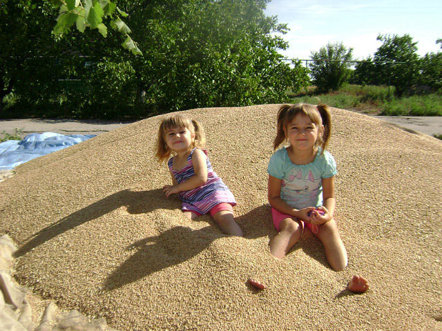 ���� ��������