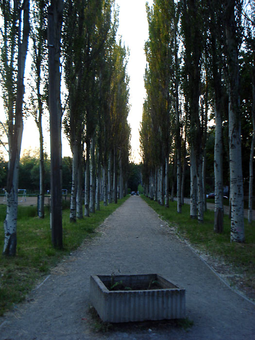 ���� ������� ����