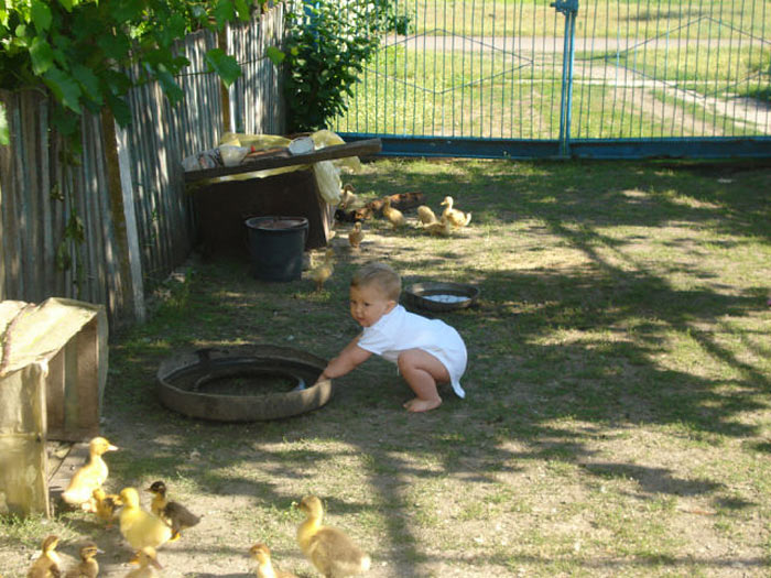 ������� ���, ����� ���, ���������� �����