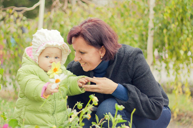 � ���������