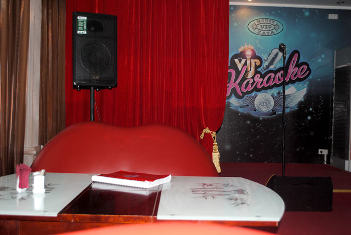 VIP Karaoke - ��� ������� � ���������