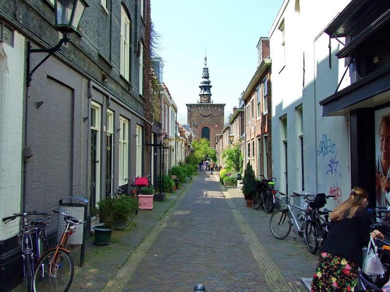 ����� � ���������