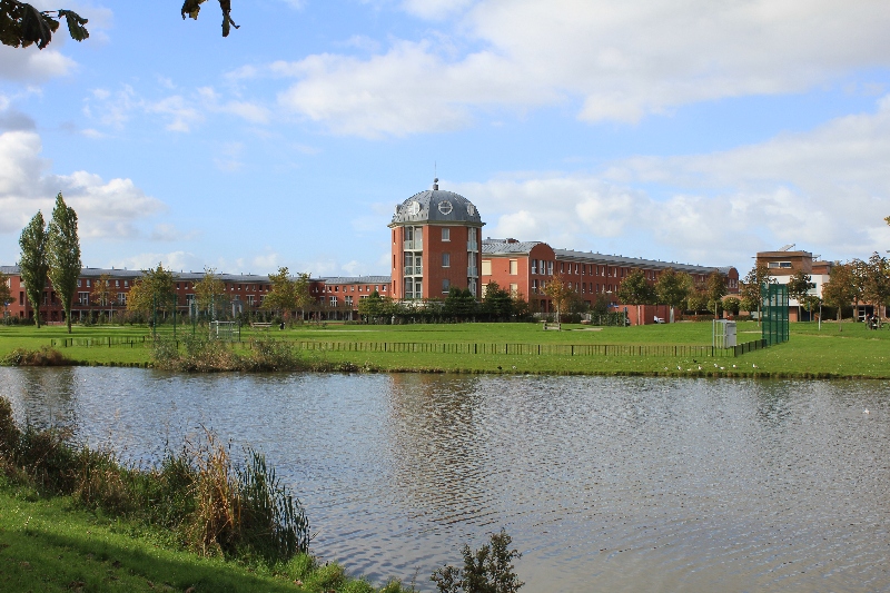 ���� � ������